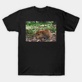 Bison Calf T-Shirt